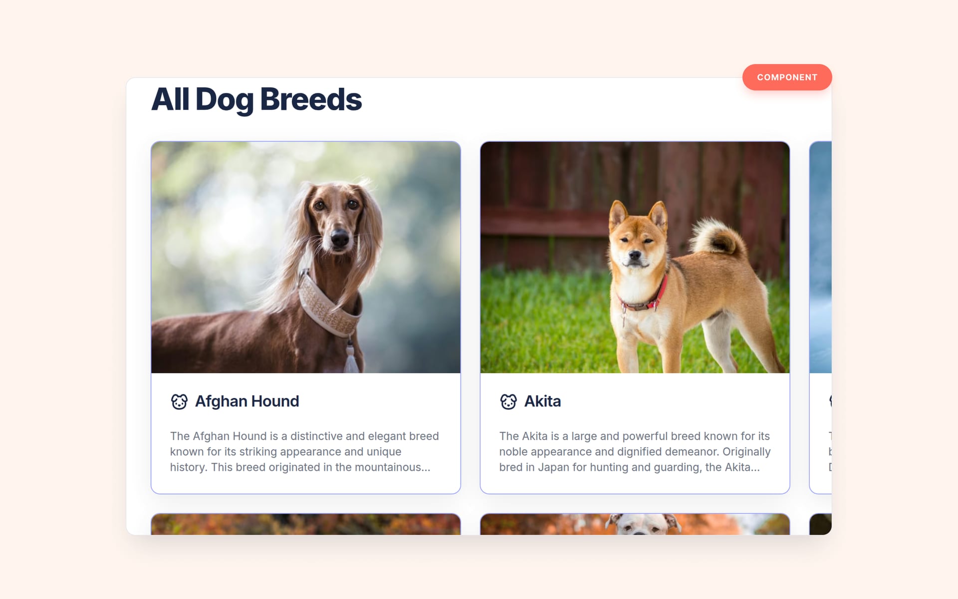 Design system